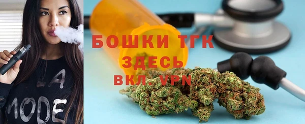 мдпв Верхний Тагил