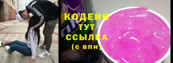индика Верея