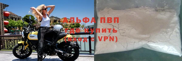 индика Верея