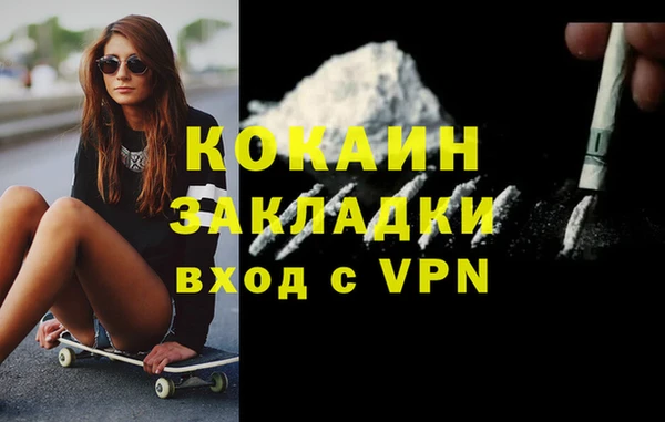 индика Верея