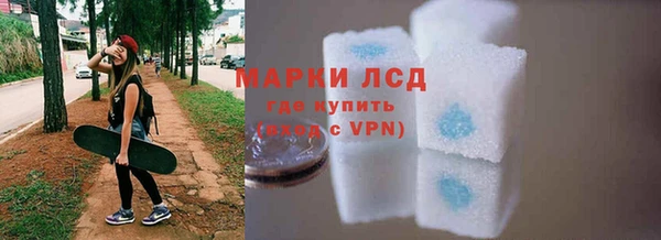 индика Верея
