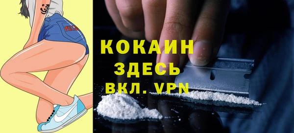 мдпв Верхний Тагил