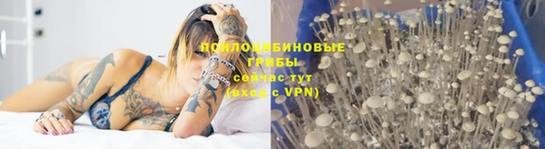 индика Верея