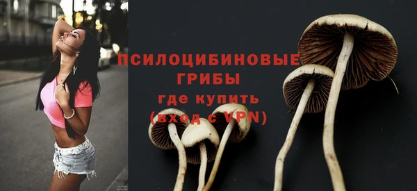 мдпв Верхний Тагил