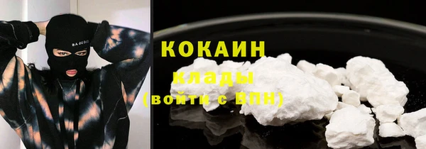 индика Верея
