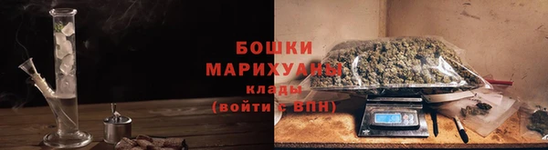 мдпв Верхний Тагил