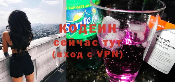мдпв Верхний Тагил