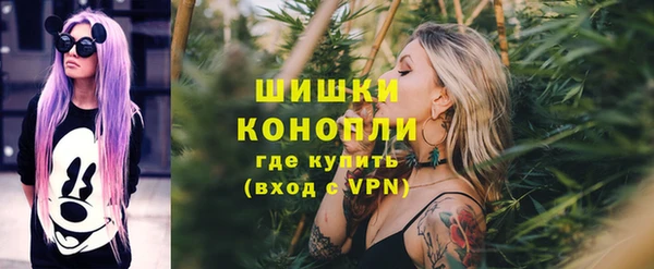 мдпв Верхний Тагил