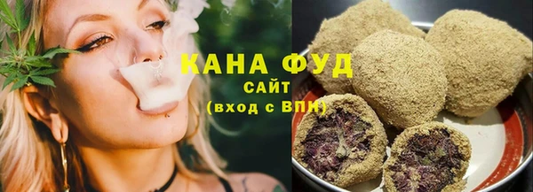мдпв Верхний Тагил