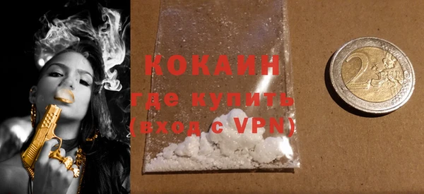 индика Верея