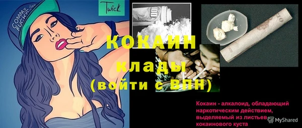 индика Верея