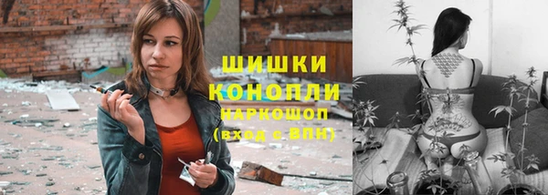 индика Верея