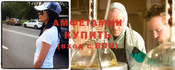 индика Верея