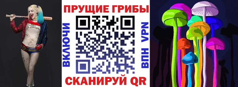 Псилоцибиновые грибы GOLDEN TEACHER что такое Коломна