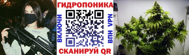 Шишки марихуана White Widow  наркота  Коломна 